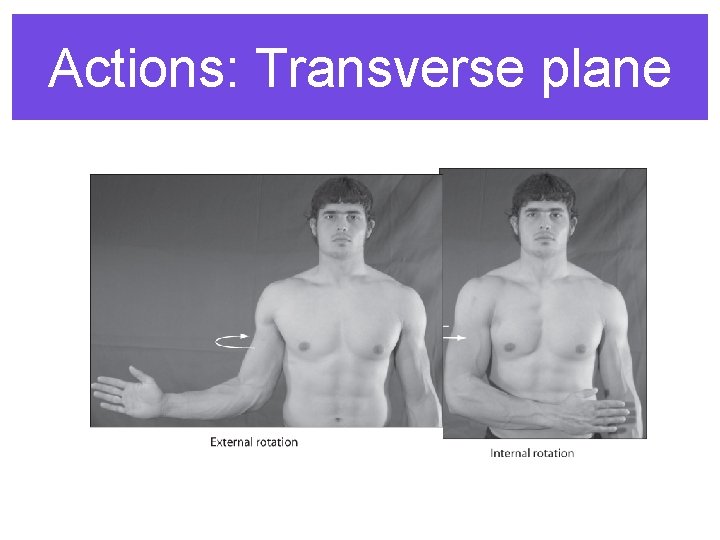 Actions: Transverse plane 