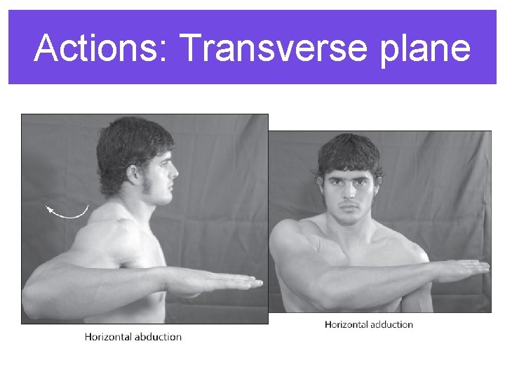 Actions: Transverse plane 