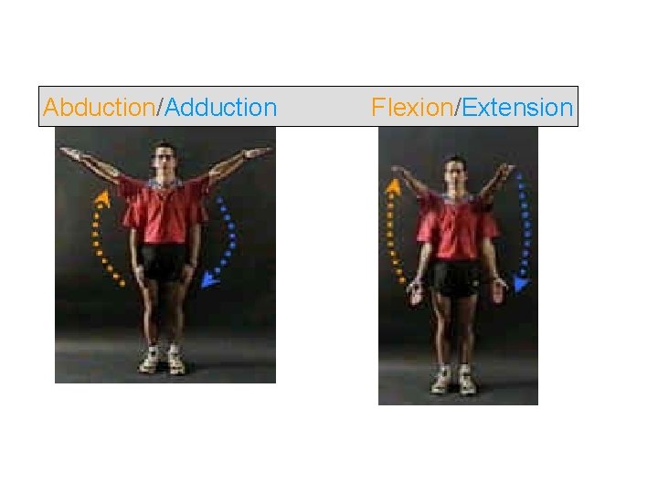 Abduction/Adduction Flexion/Extension 