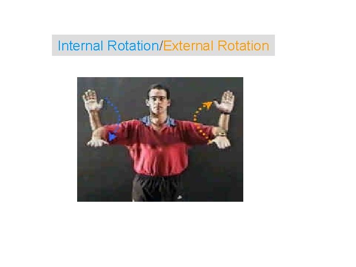 Internal Rotation/External Rotation 