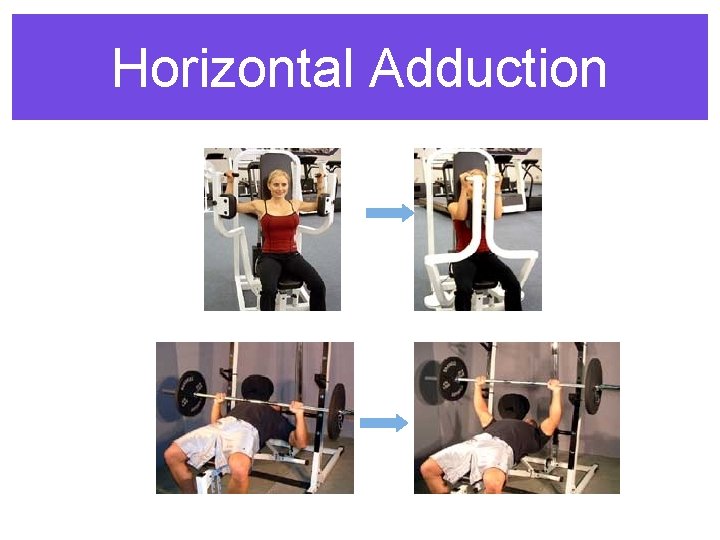 Horizontal Adduction 