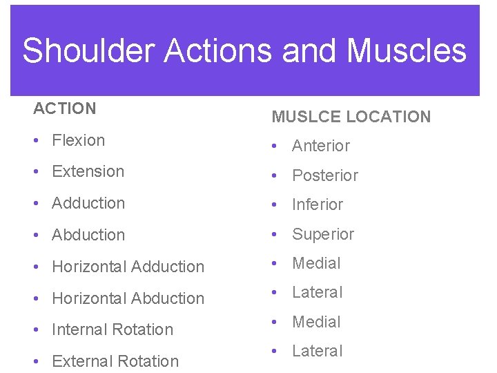 Shoulder Actions and Muscles ACTION MUSLCE LOCATION • Flexion • Anterior • Extension •