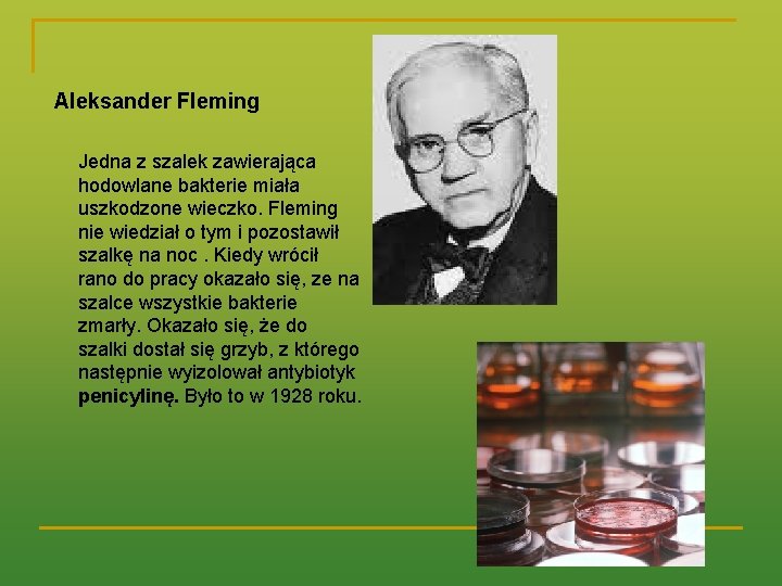 Aleksander Fleming Jedna z szalek zawierająca hodowlane bakterie miała uszkodzone wieczko. Fleming nie wiedział
