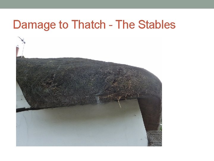 Damage to Thatch - The Stables 