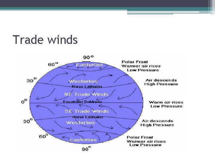 Trade winds 
