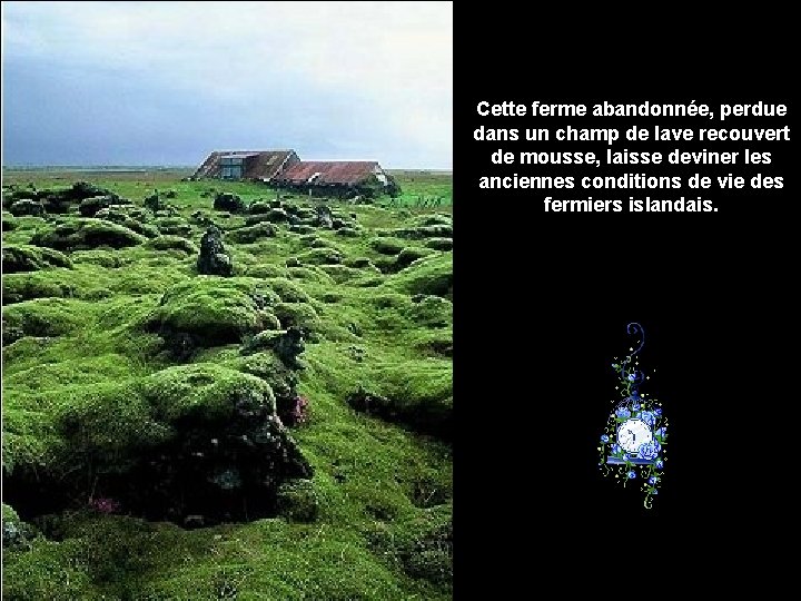 Cette ferme abandonnée, perdue dans un champ de lave recouvert de mousse, laisse deviner