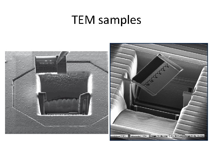 TEM samples 
