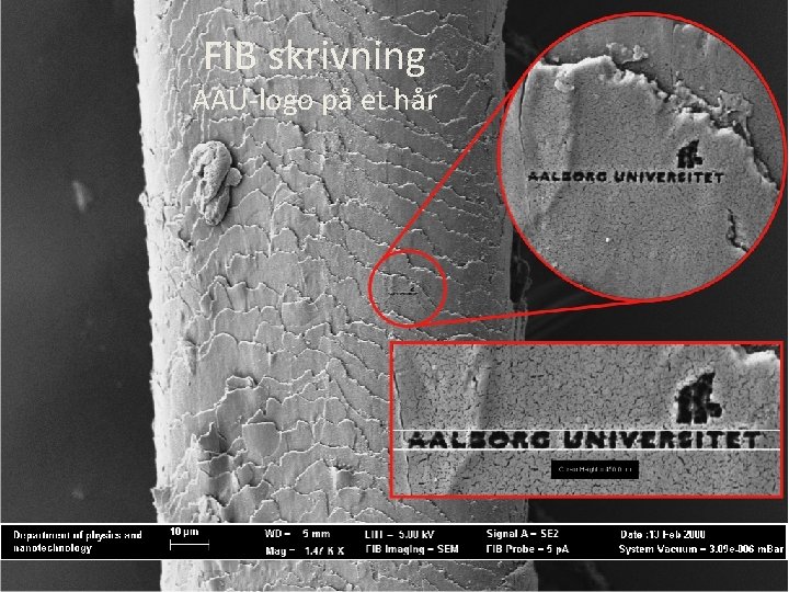 FIB skrivning AAU-logo på et hår 