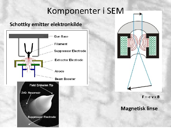 Komponenter i SEM Schottky emitter elektronkilde F =-e v x B Magnetisk linse 