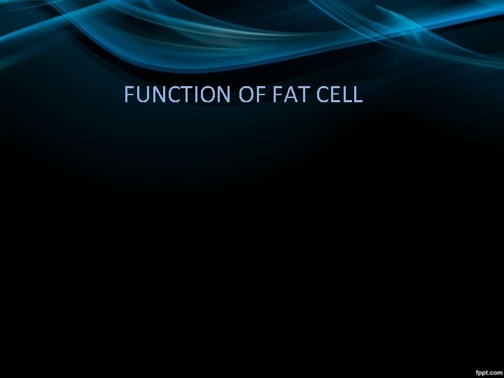 FUNCTION OF FAT CELL 