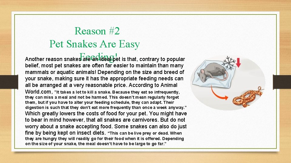 Reason #2 Pet Snakes Are Easy Another reason snakes. Feeding! are an ideal pet