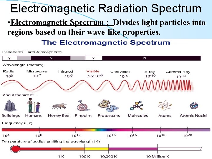 Electromagnetic Radiation Spectrum • Electromagnetic Spectrum : Divides light particles into regions based on