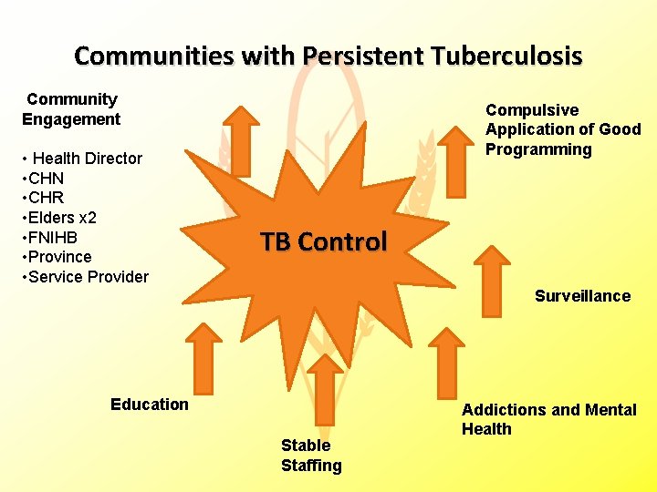 Communities with Persistent Tuberculosis Community Engagement • Health Director • CHN • CHR •