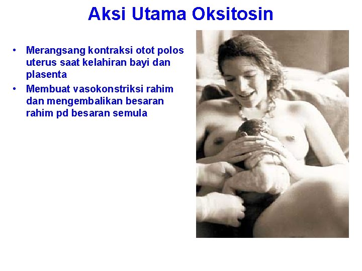 Aksi Utama Oksitosin • Merangsang kontraksi otot polos uterus saat kelahiran bayi dan plasenta