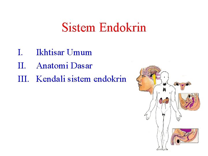 Sistem Endokrin I. Ikhtisar Umum II. Anatomi Dasar III. Kendali sistem endokrin 