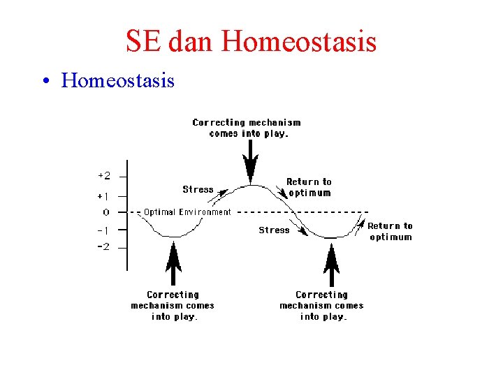 SE dan Homeostasis • Homeostasis 