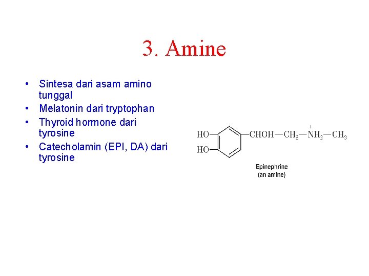 3. Amine • Sintesa dari asam amino tunggal • Melatonin dari tryptophan • Thyroid
