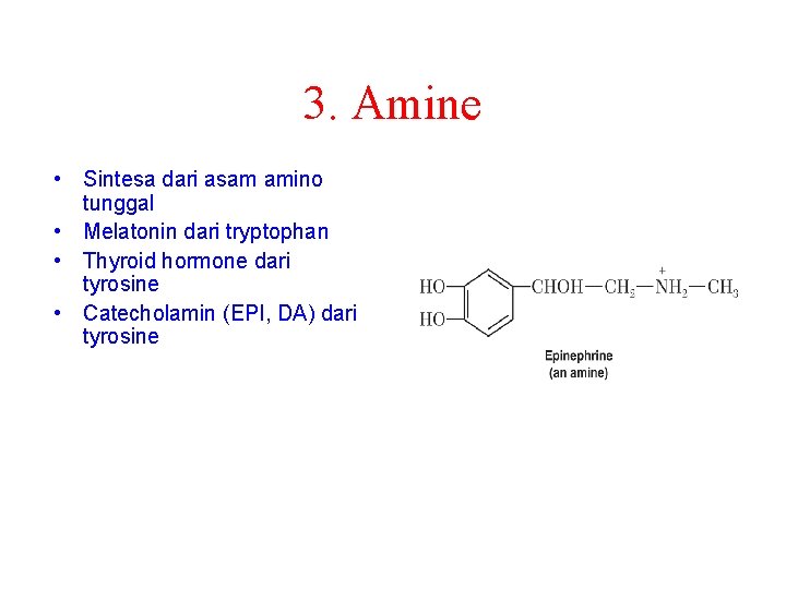 3. Amine • Sintesa dari asam amino tunggal • Melatonin dari tryptophan • Thyroid