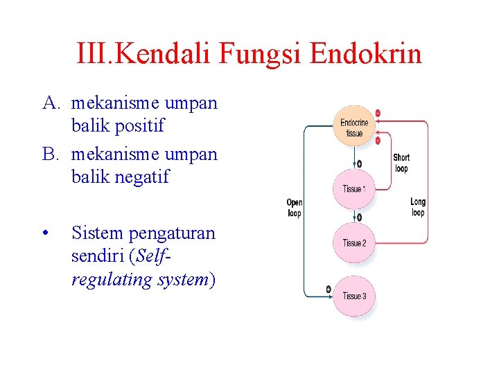 III. Kendali Fungsi Endokrin A. mekanisme umpan balik positif B. mekanisme umpan balik negatif