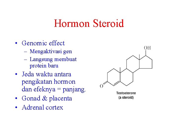 Hormon Steroid • Genomic effect – Mengaktivasi gen – Langsung membuat protein baru •