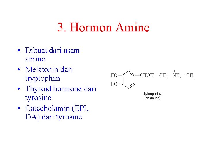 3. Hormon Amine • Dibuat dari asam amino • Melatonin dari tryptophan • Thyroid
