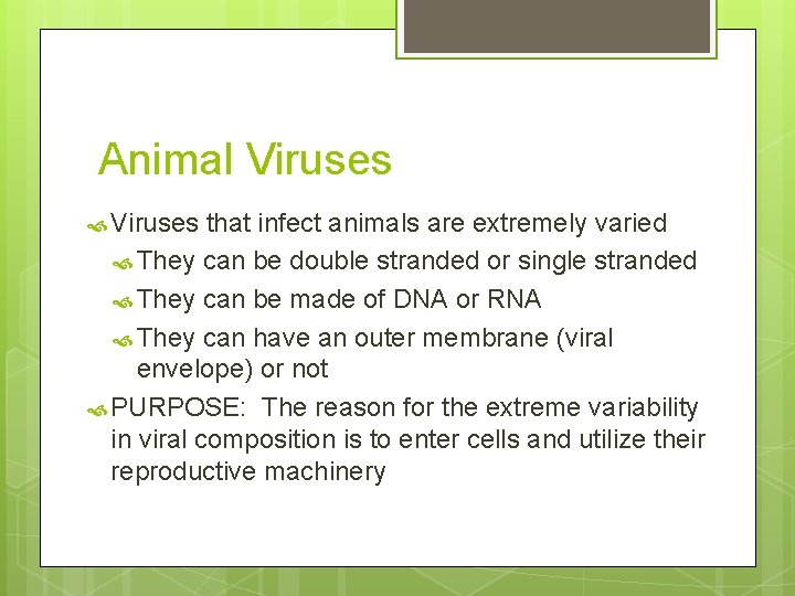 Animal Viruses that infect animals are extremely varied They can be double stranded or