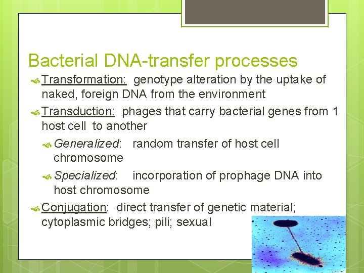 Bacterial DNA-transfer processes Transformation: genotype alteration by the uptake of naked, foreign DNA from