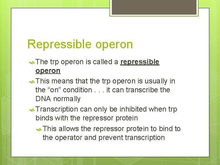 Repressible operon The trp operon is called a repressible operon This means that the