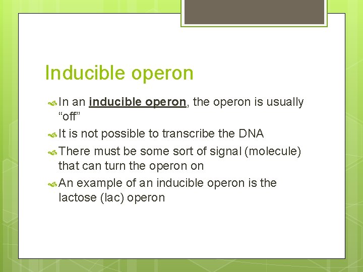Inducible operon In an inducible operon, the operon is usually “off” It is not