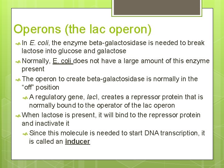 Operons (the lac operon) In E. coli, the enzyme beta-galactosidase is needed to break