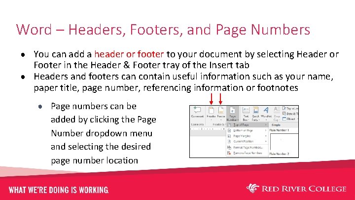Word – Headers, Footers, and Page Numbers ● You can add a header or