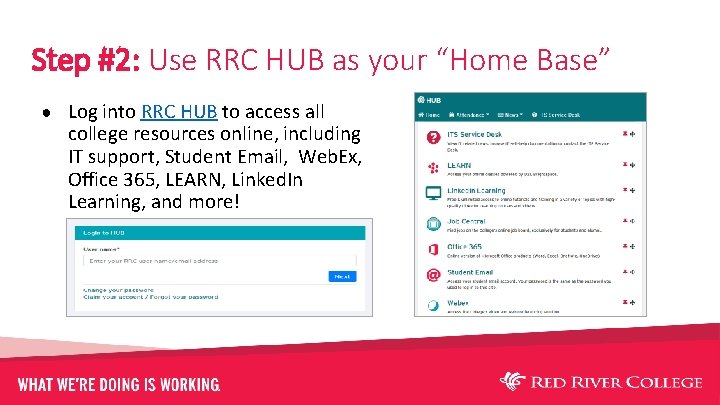 Step #2: Use RRC HUB as your “Home Base” ● Log into RRC HUB