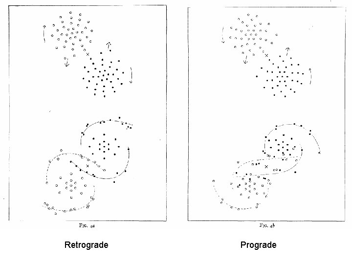 Retrograde Prograde 