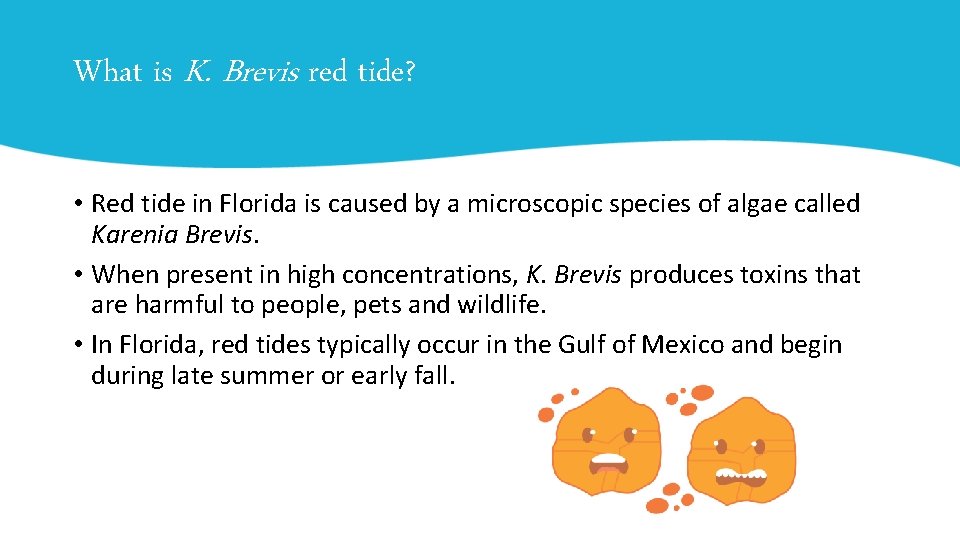 What is K. Brevis red tide? • Red tide in Florida is caused by