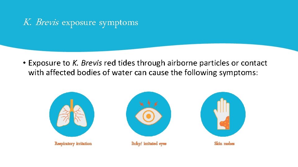 K. Brevis exposure symptoms • Exposure to K. Brevis red tides through airborne particles