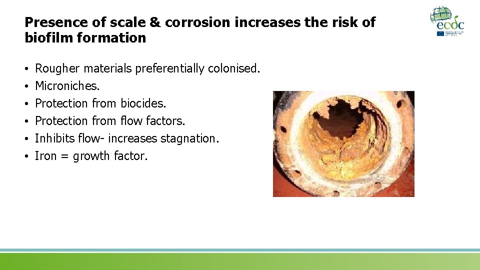 Presence of scale & corrosion increases the risk of biofilm formation • • •
