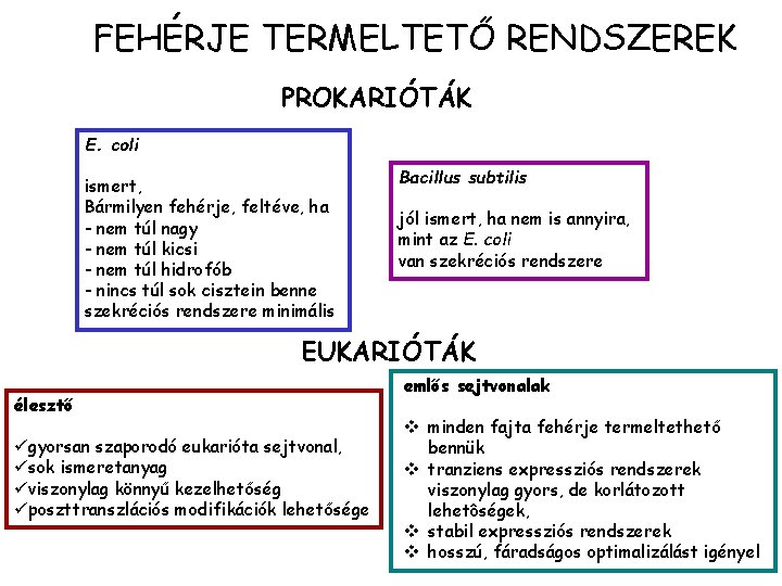 FEHÉRJE TERMELTETŐ RENDSZEREK PROKARIÓTÁK E. coli ismert, Bármilyen fehérje, feltéve, ha - nem túl