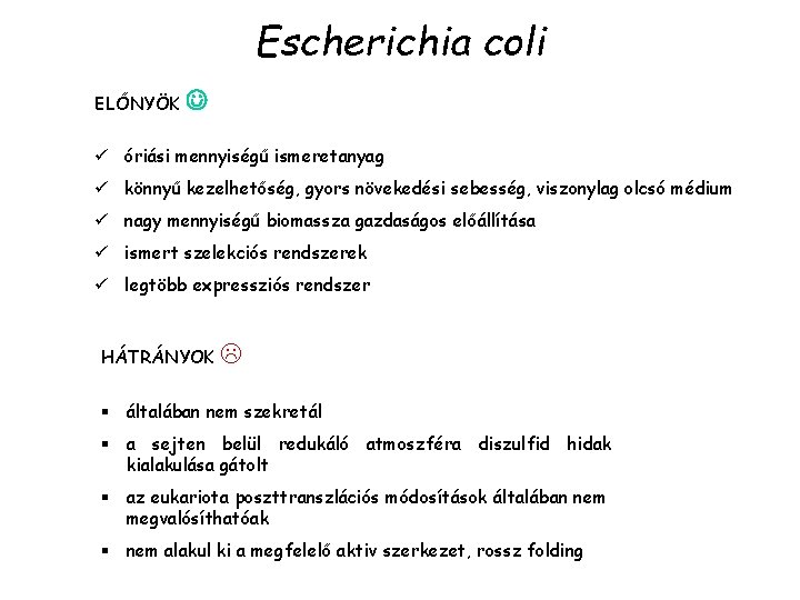 Escherichia coli ELŐNYÖK ü óriási mennyiségű ismeretanyag ü könnyű kezelhetőség, gyors növekedési sebesség, viszonylag