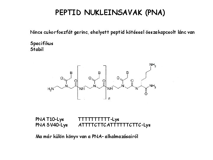 PEPTID NUKLEINSAVAK (PNA) Nincs cukorfoszfát gerinc, ehelyett peptid kötéssel összekapcsolt lánc van Specifikus Stabil