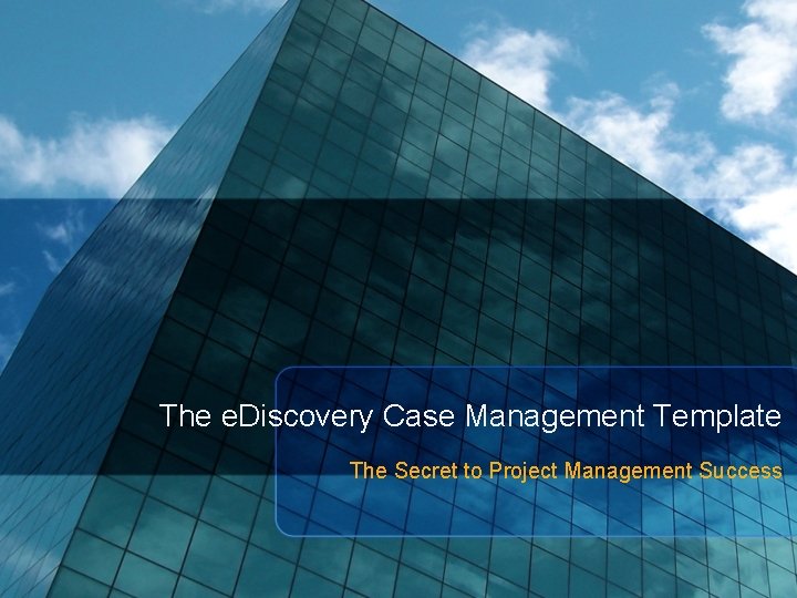 The e. Discovery Case Management Template The Secret to Project Management Success 