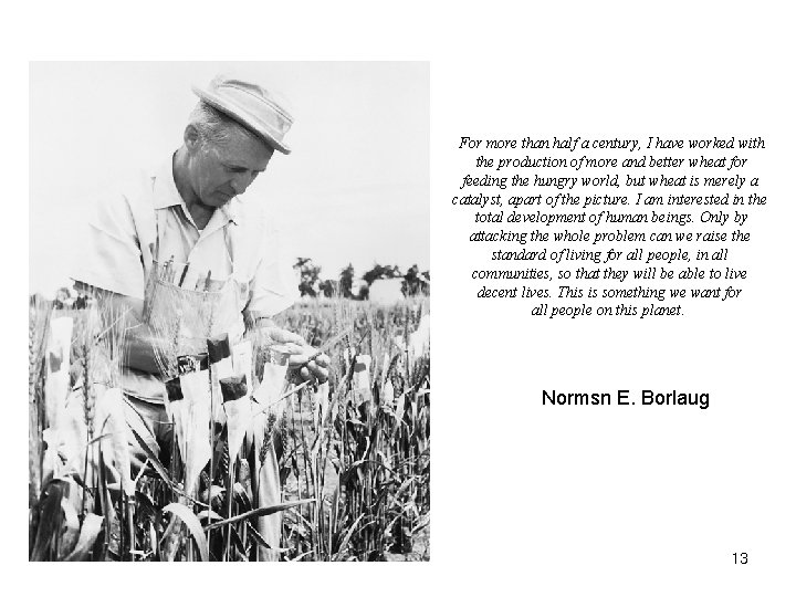 History and Role of Plant Breeding in Society For more than half a century,