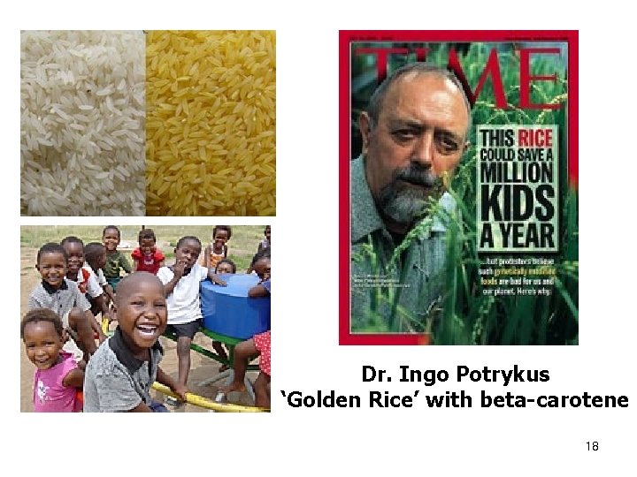 Dr. Ingo Potrykus ‘Golden Rice’ with beta-carotene 18 