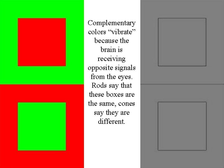 Complementary colors “vibrate” because the brain is receiving opposite signals from the eyes. Rods