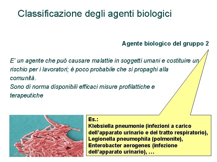 Classificazione degli agenti biologici Agente biologico del gruppo 2 E’ un agente che può