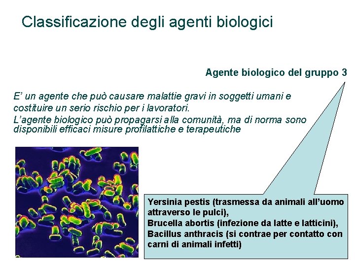 Classificazione degli agenti biologici Agente biologico del gruppo 3 E’ un agente che può