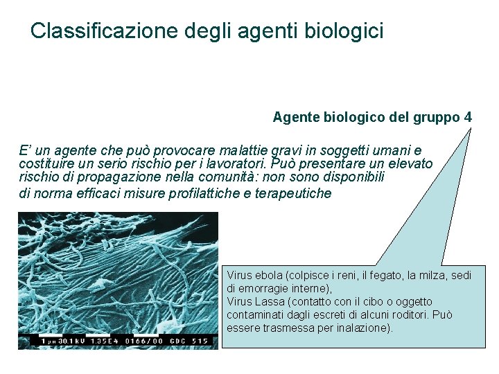 Classificazione degli agenti biologici Agente biologico del gruppo 4 E’ un agente che può