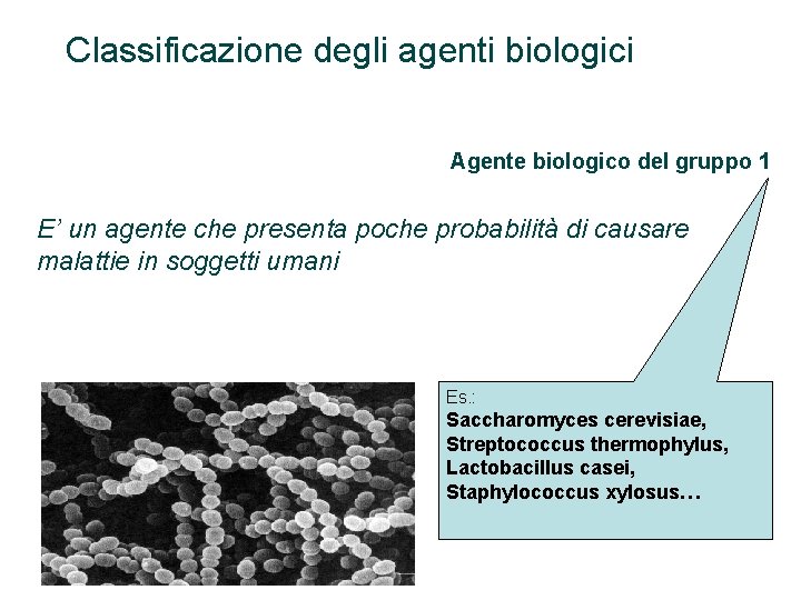 Classificazione degli agenti biologici Agente biologico del gruppo 1 E’ un agente che presenta