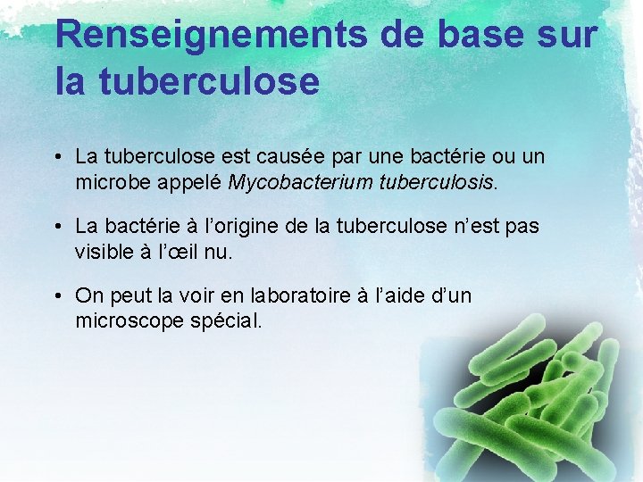 Renseignements de base sur la tuberculose • La tuberculose est causée par une bactérie