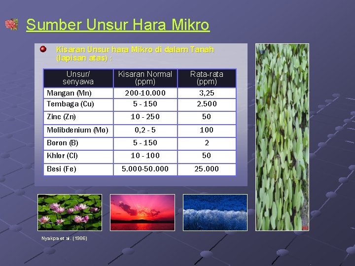 Sumber Unsur Hara Mikro Kisaran Unsur hara Mikro di dalam Tanah (lapisan atas) :