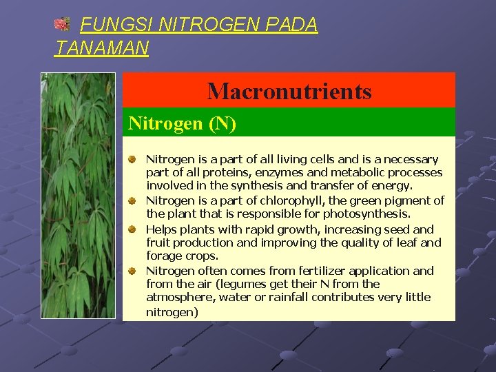 FUNGSI NITROGEN PADA TANAMAN Macronutrients Nitrogen (N) Nitrogen is a part of all living